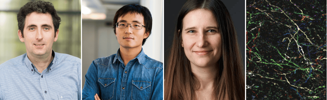 Vincent Bonin, Xu Han, Karolina Socha, and axonal projections in cortical layer 1, where the axons are color-coded to show their preferences for specific locations and timings of signals